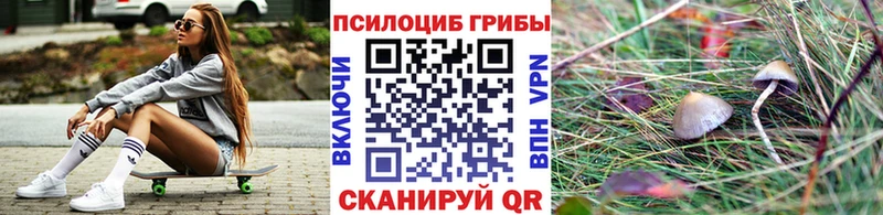 Галлюциногенные грибы ЛСД  Купить закладки  Зеленокумск 